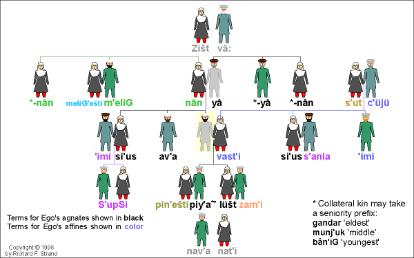 Ṣupu-vari Kinship Terms